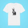 Feminism Sigma Donkey Thinking About Women S Issues And Inequality Tshirt