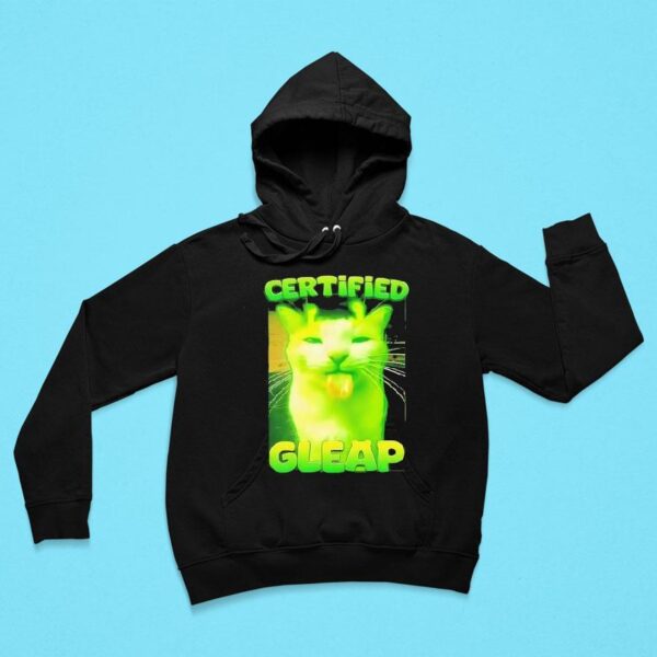 Alien Brainrot Cat Certified Gleap Hoodie