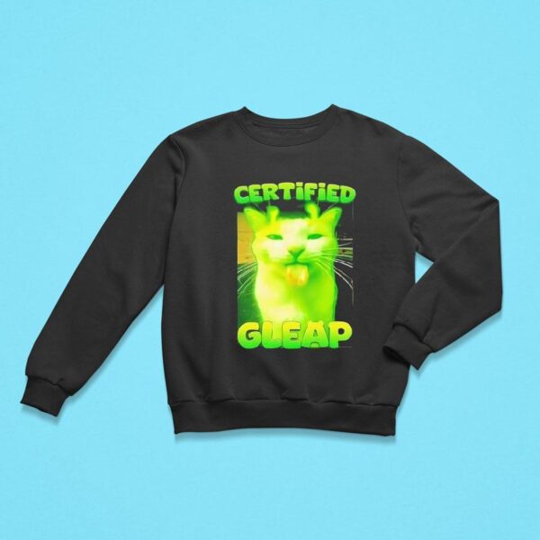 Alien Brainrot Cat Certified Gleap Sweatshirt