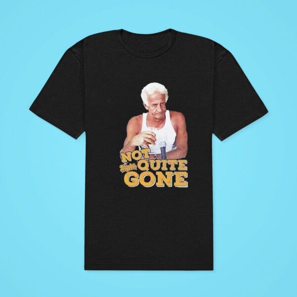 Harry Doyle Not Quite Gone Vintage Classic Tshirt