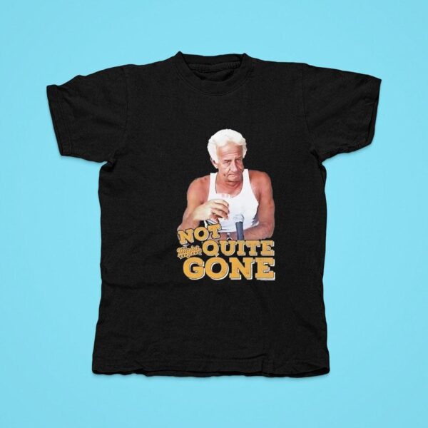 Harry Doyle Not Quite Gone Vintage Tshirt